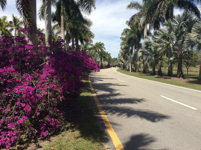 Miami road